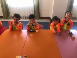 ORKİDELER SINIFI KURBAĞA ETKİNLİĞİ